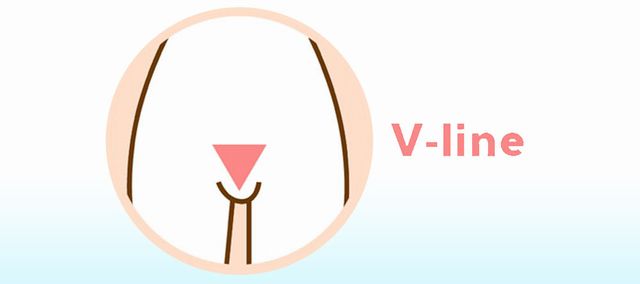 Vライン